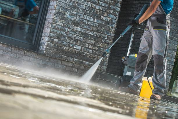 Best Pool Deck Cleaning  in Zellwood, FL